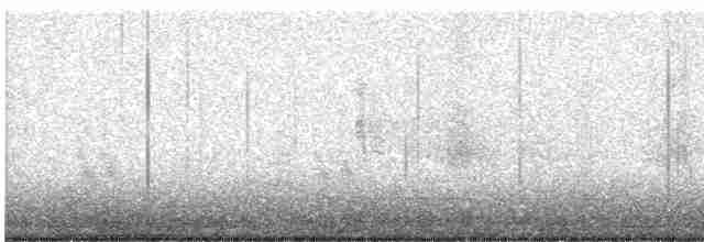 Vireo de Hutton (grupo stephensi) - ML613887023