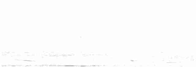Желтоногий зелёный голубь - ML613895836