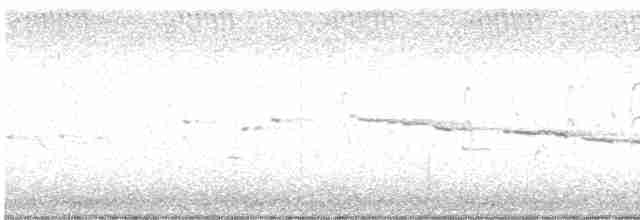 Weißkehlgerygone - ML613896425