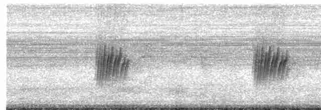 Güneyli Sert Kanatlı Kırlangıç - ML613900133