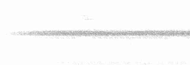 Kırlangıç Kuyruklu Manakin - ML613900203