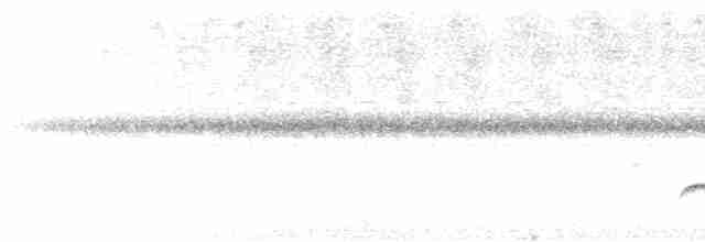 White-shouldered Fire-eye - ML613900211