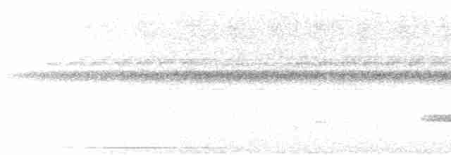 Каштановый скрытохвост - ML613900225