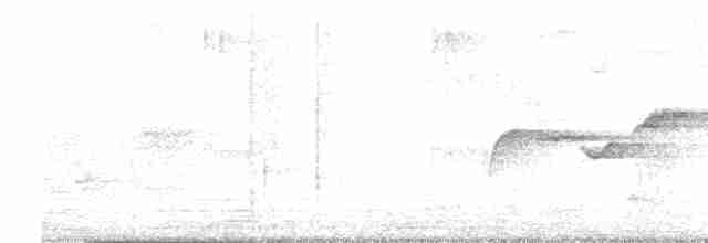 Gri Başlı Kanarya Sinekkapanı - ML613903240
