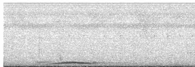 holub šedorůžový - ML613906224