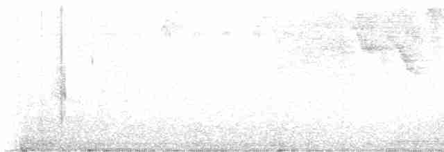 holub grenadský - ML613906672