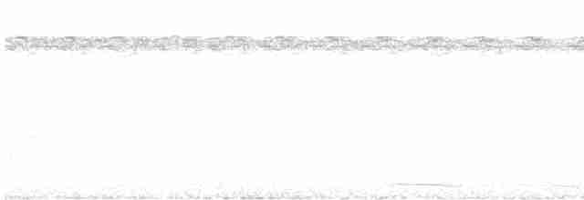Yellow-legged Tinamou - ML613906909