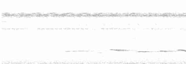 Белобровый торорой - ML613906912