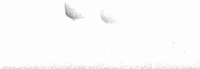 Gilt-edged Tanager - ML613908162