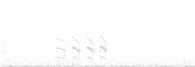 Kara Karınlı Karıncakuşu - ML613908176