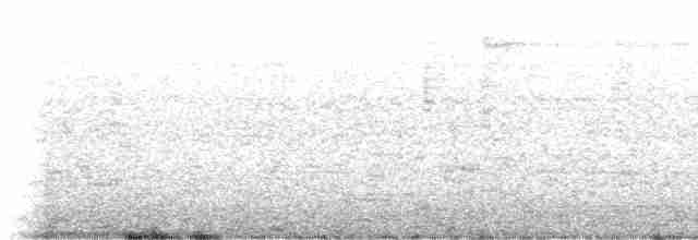 Tangara sayaca - ML613910666