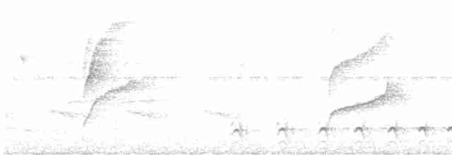 Planalto Gri Karıncaavcısı - ML613913619