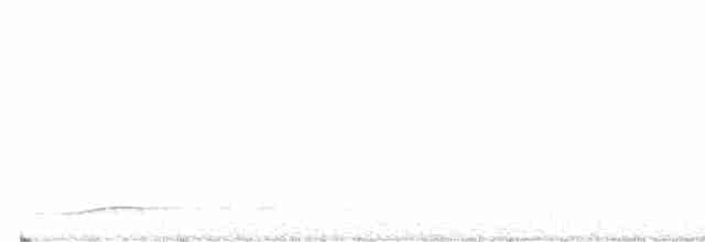 Pacific Koel (Australian) - ML613915350