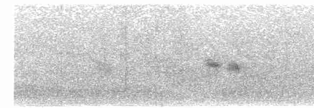 Щурик бурий (підвид fusca) - ML613917160