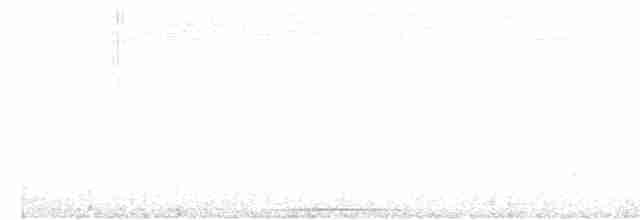 Черноспинный толстонос - ML613919571