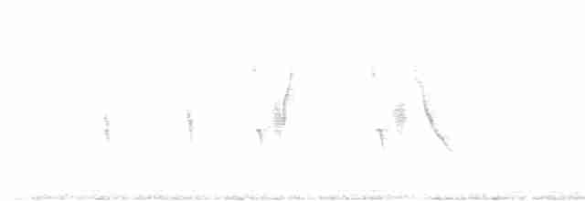 Черногрудая монтерита - ML613920074