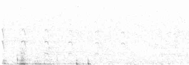 Common Tern - ML613921270
