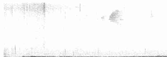 Grauflankenmeise - ML613921533