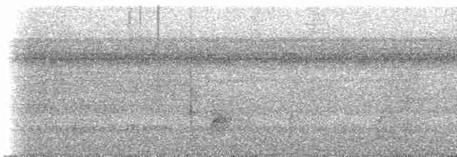 Streifenbrust-Ameisendrossel - ML613921764