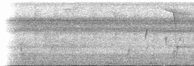 Дроздик світлоокий - ML613921899