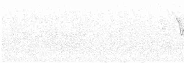Червоїд сіроголовий - ML613921946