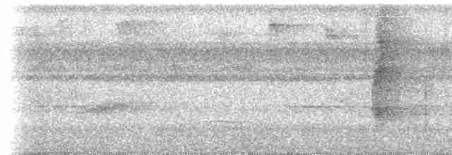 Ockerstirn-Blattspäher - ML613922087