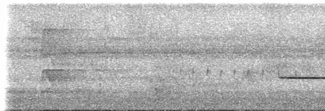 Gray-tailed Piha - ML613923528