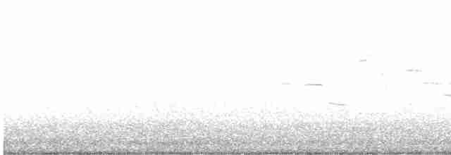 Eastern Meadowlark - ML613923725
