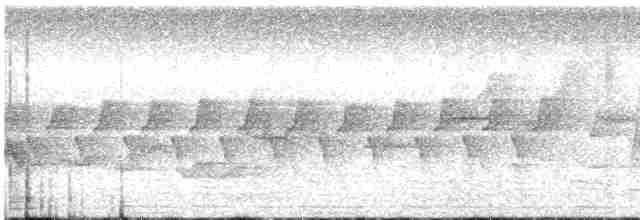 Black-eared Shrike-Babbler - ML613924370