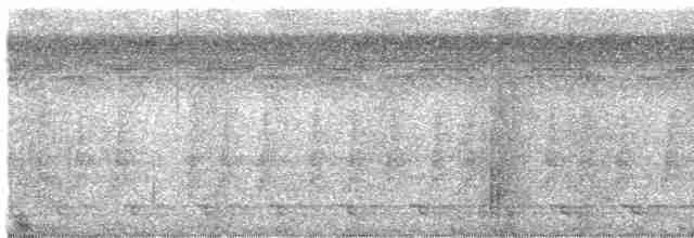 Трогон синьоволий - ML613924567