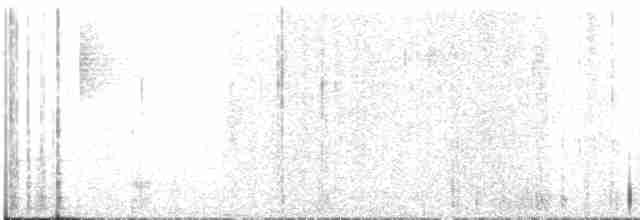 Скриточуб гімалайський - ML613924624