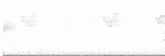 Белобровый личинколов - ML613926229