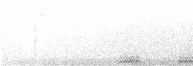 Воротничковый рябчик - ML613927032