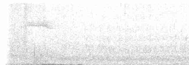 Австралийская иглоногая сова - ML613928222