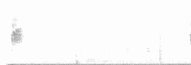 Чилийская ласточка - ML613928477