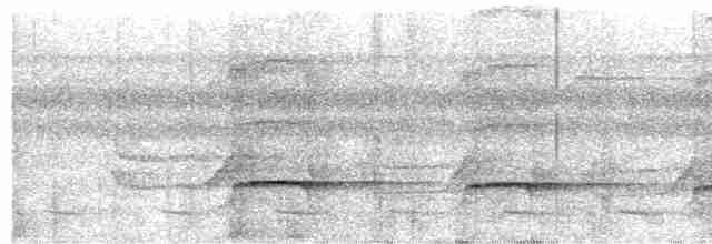 Дереволаз-червонодзьоб бразильський (підвид uniformis) - ML613930281