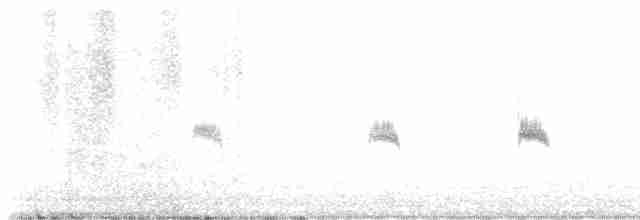 Каньонный крапивник - ML613930838