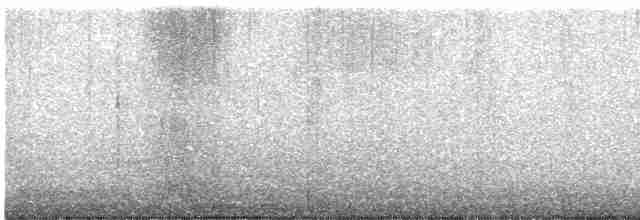 Gaviota de Bering - ML613932032