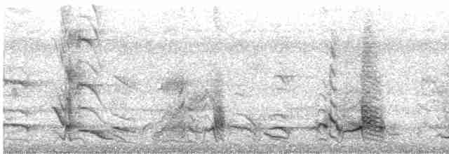 Little Friarbird - ML613934245
