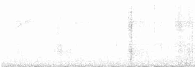 Горихвостковый личинкоед - ML613935979