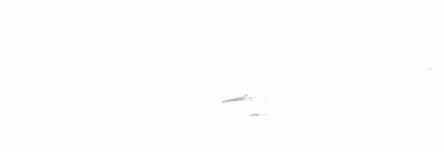 Iberian Gray Shrike - ML613938248