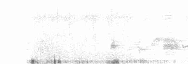 灰頭椋鳥 - ML613939973