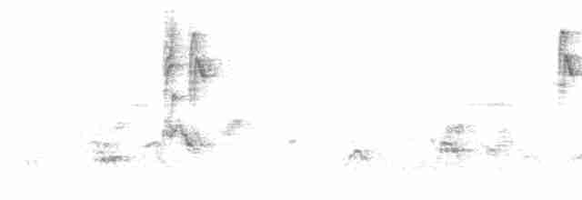 Траурная нектарница - ML613940014