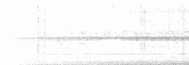 Undulated Tinamou - ML613940527
