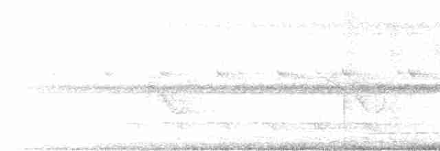 Белогорлый мечник - ML613940616