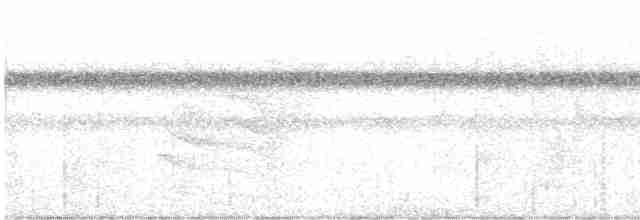 Band-tailed Antwren - ML613943994