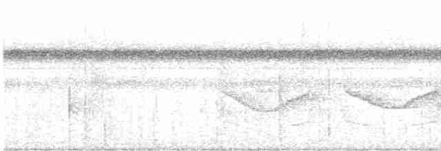 Band-tailed Antwren - ML613943995