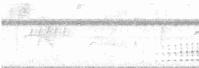 Серый тиранн-плакса - ML613944041