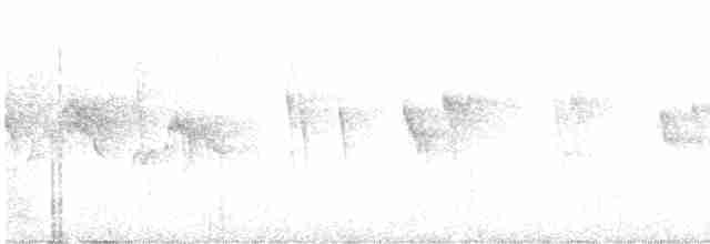 Graubürzelsegler (cinereiventris) - ML613944929