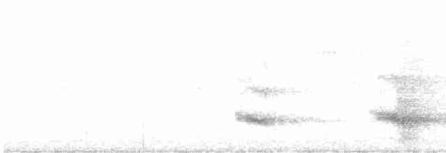 Тукан чорнодзьобий (підвид ariel) - ML613944938